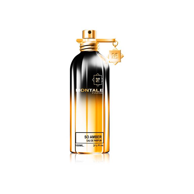 Fragrance Aoud Amber Montale MONTALE SO AMBER - Main Image