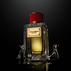 Dolce & Gabbana Velvet Desire