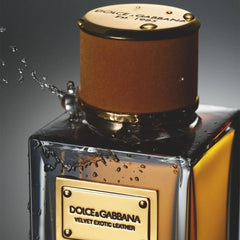Dolce & Gabbana Velvet Exotic Leather