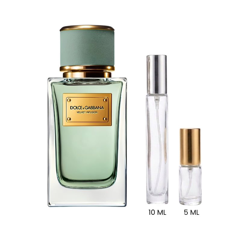 Dolce & Gabbana Velvet Infusion