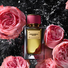 Dolce&Gabbana Velvet Rose
