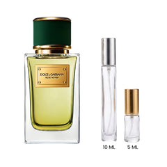Dolce&Gabbana Velvet Vetiver
