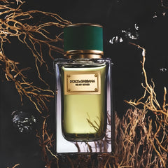 Dolce&Gabbana Velvet Vetiver