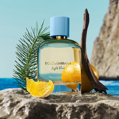 Dolce&Gabbana Light Blue Pour Homme Eau de Parfum