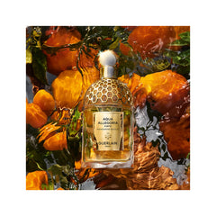 Guerlain Aqua Allegoria Mandarine Basilic Forte