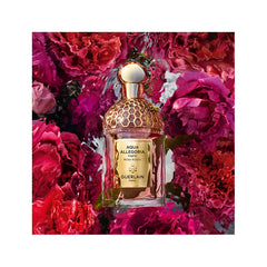 Guerlain Aqua Allegoria Rosa Rossa Forte