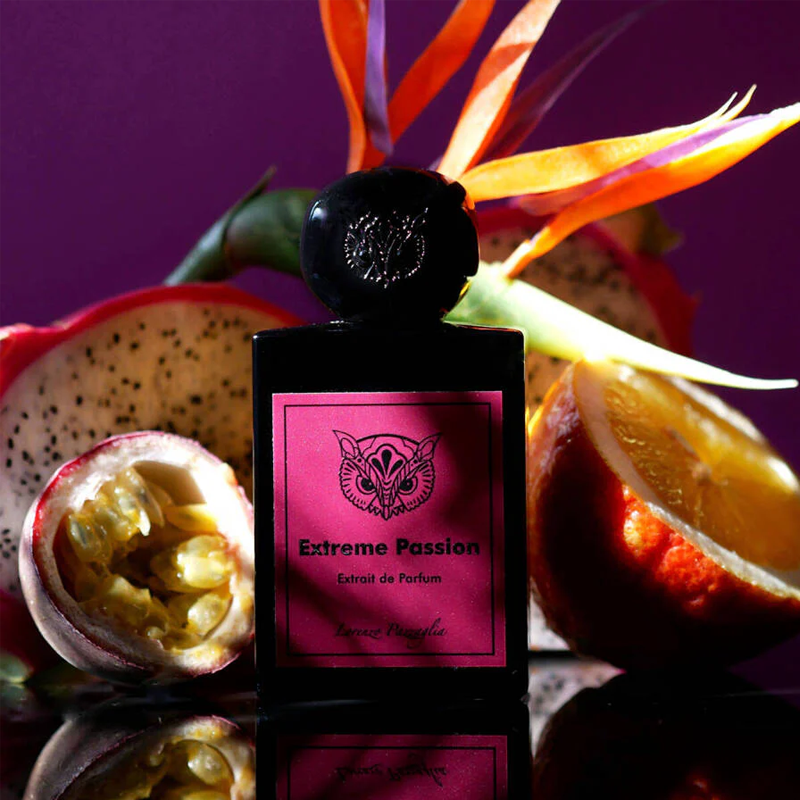 Lorenzo pazzaglia extreme passion